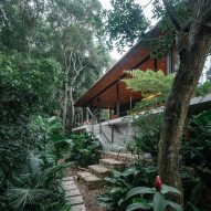 Cornetta Arquitetura immerses "contemporary cabin" in Brazilian forest