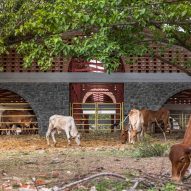 Gaughar by Compartment S4