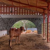 Gaughar by Compartment S4