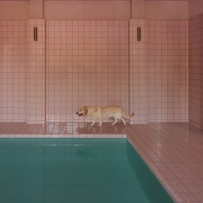 King Animal Hospital by Kelly Wearstler