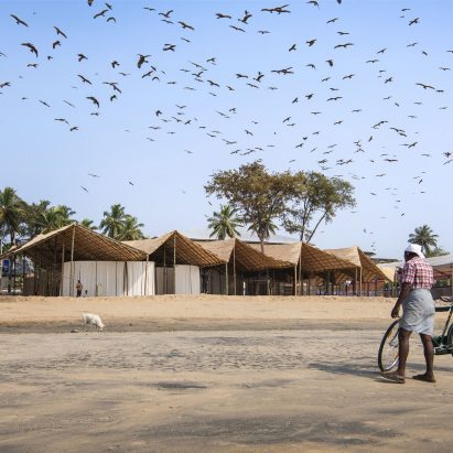 Man with bicycle watching flock of birds over German Pavilion at Kerala Literature Festival.